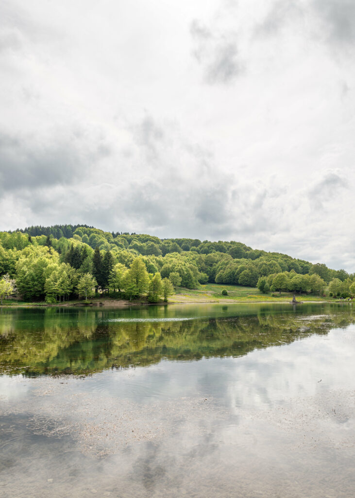 Lush green forest surrounds calm lake with vibrant trees reflected in clear water under cloudy sky Wallpaper