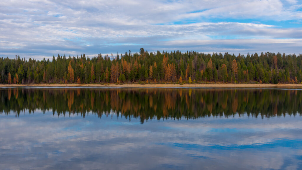 Serene dense forest by lake shore with autumn colors reflecting on calm water under cloudy sky Wallpaper