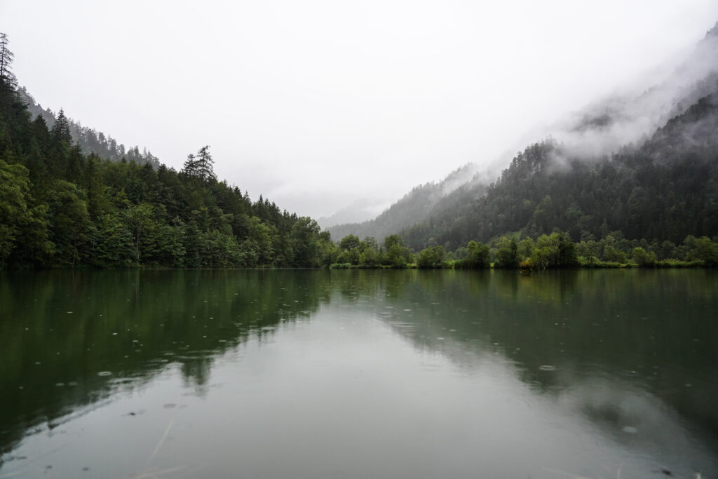 Serene forest lake with dense spruce trees misty fog hills and perfect reflection wallpaper background