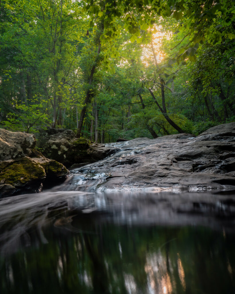Sunlight through green forest above calm lake with smooth stones and vibrant reflections serene nature Wallpaper