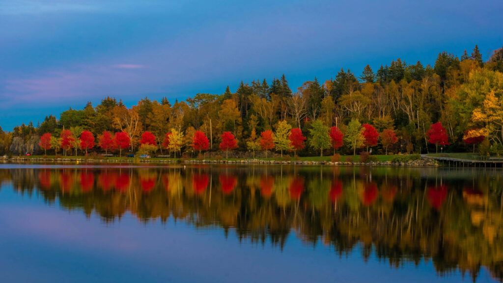 Serene Forest Wallpaper: Vibrant Autumn Reflections in Calm Water