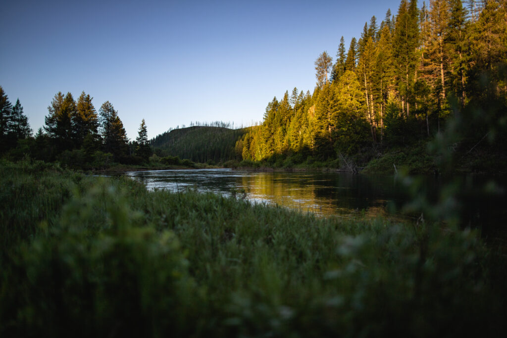 Serene landscape of rolling forested hills reflected in calm lake with vibrant green sunlight Wallpaper