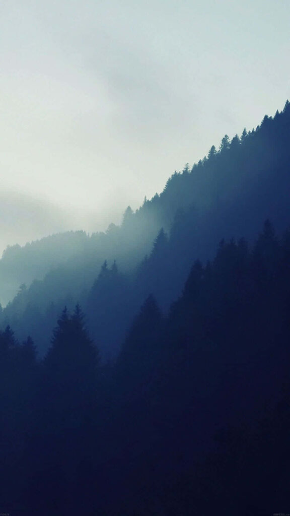 Serene Forest & Mountain Minimalist iPhone Wallpaper Background