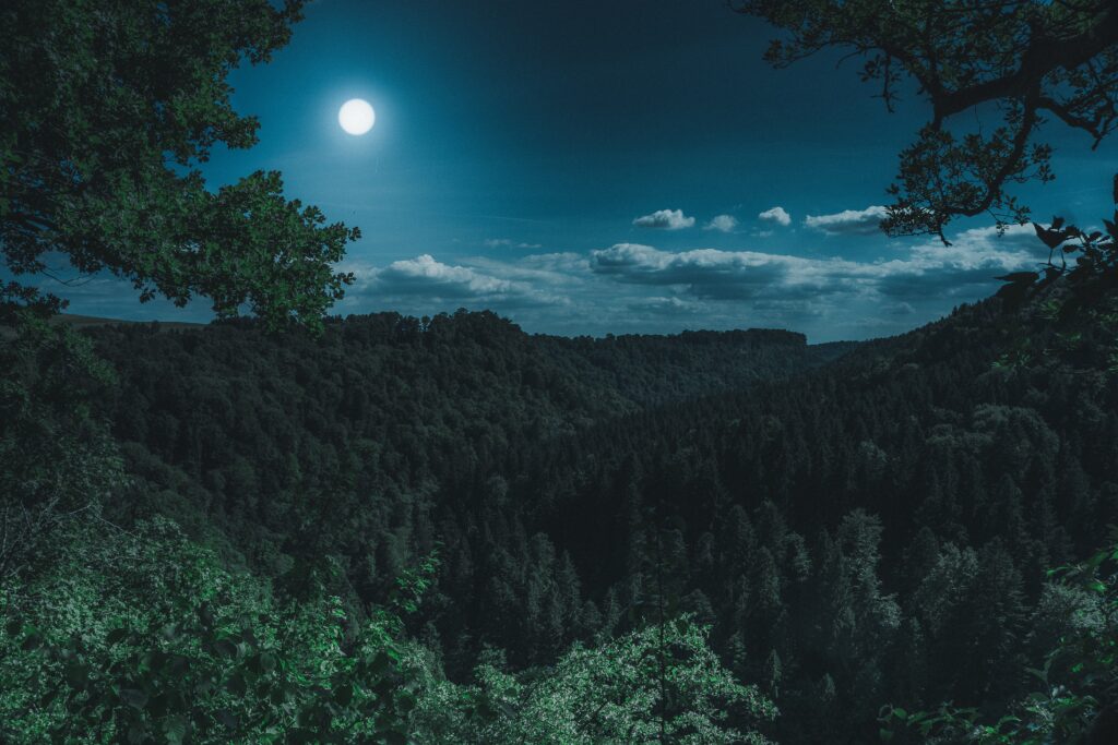 Serene forest landscape with full moon and mountains under deep blue night sky wallpaper background