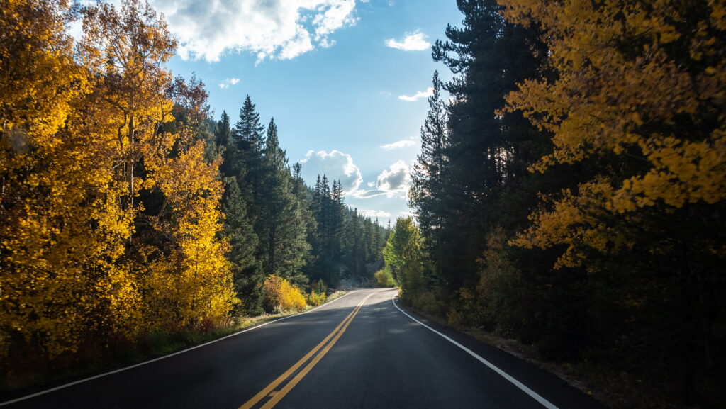 Serene asphalt road winding through vibrant autumn forest with evergreen trees under blue sky Wallpaper