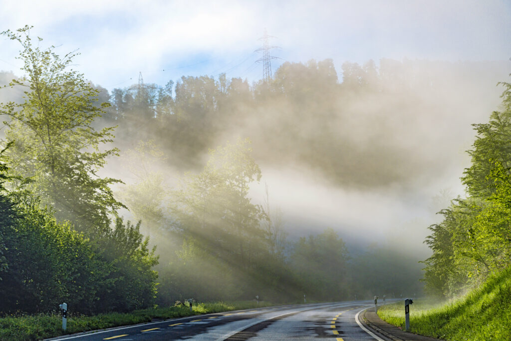 Serene road through lush green trees with morning sunlight and mist creating tranquil landscape Wallpaper