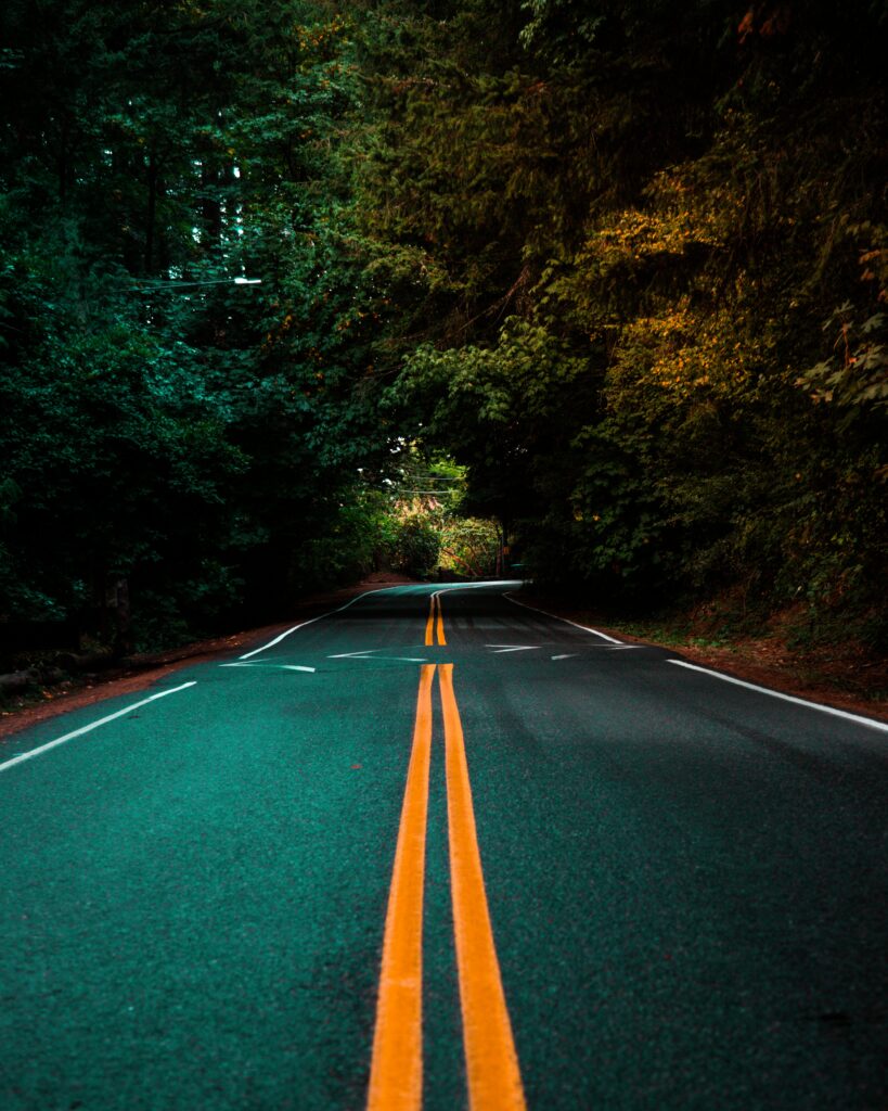 Winding asphalt road with yellow markings through lush green forest nature wallpaper background