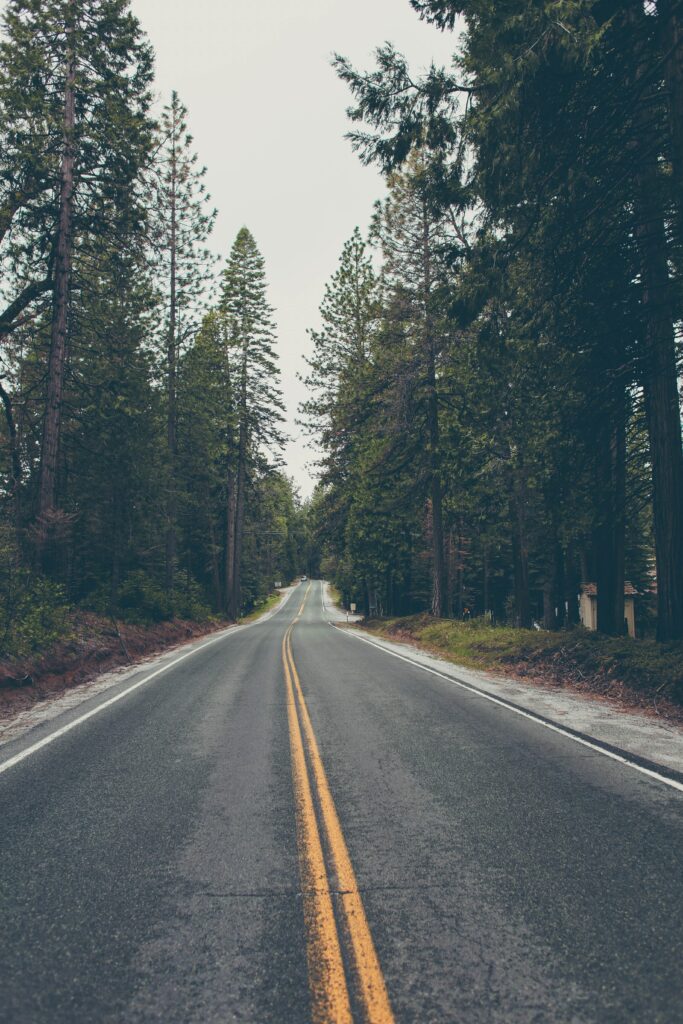 Asphalt road with yellow markings winding through dense evergreen forest in serene nature wallpaper