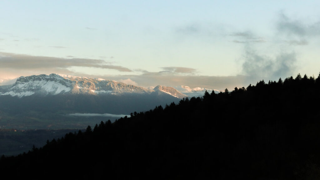 Serene evening forest silhouettes and snow-capped mountains wallpaper background landscape