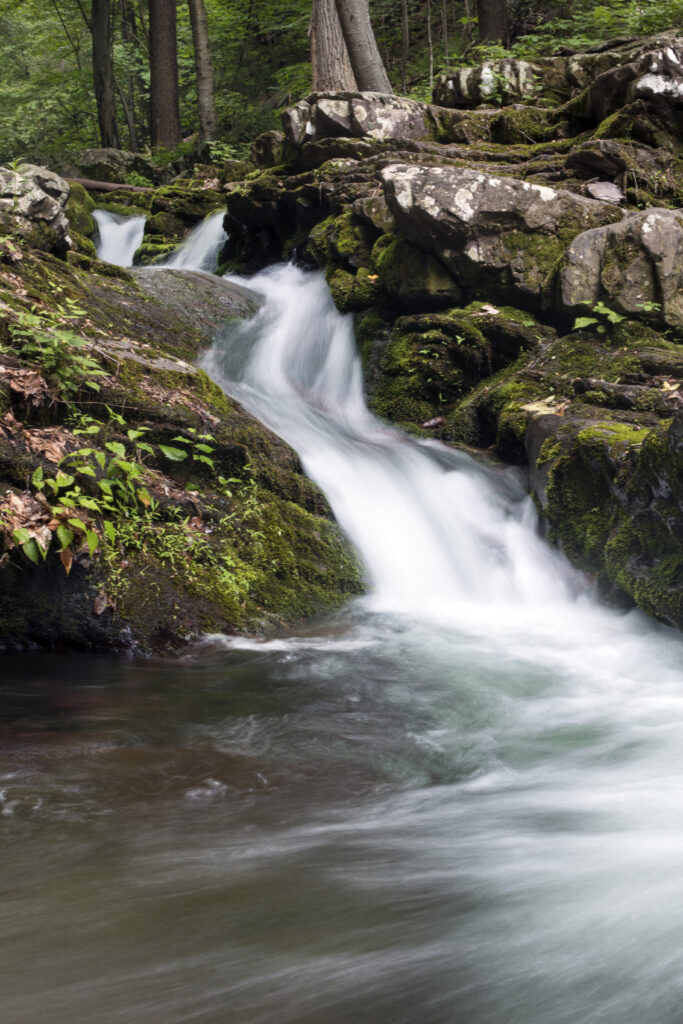 Serene forest stream flowing over mossy rocks with lush green foliage calm nature wallpaper