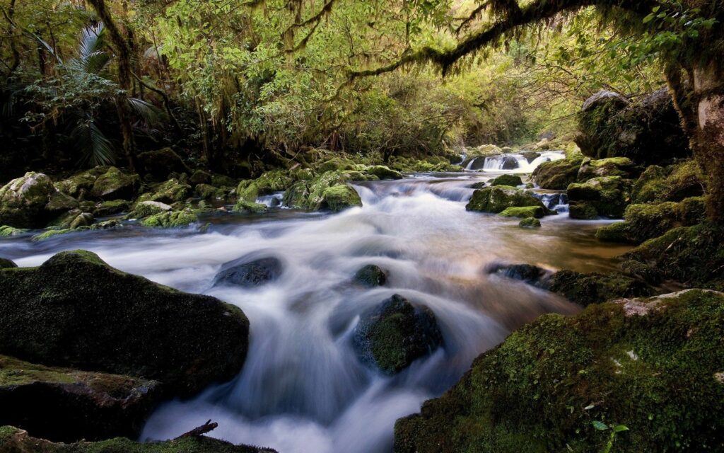 Silky forest stream flowing over mossy stones and wood surrounded by lush green vegetation Wallpaper