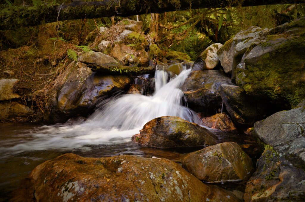 Serene stream flowing over smooth stones surrounded by lush moss and dense forest nature wallpaper