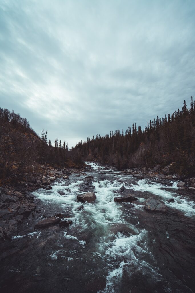 Serene forest stream under dramatic cloudy sky with tall trees in cool toned wilderness wallpaper