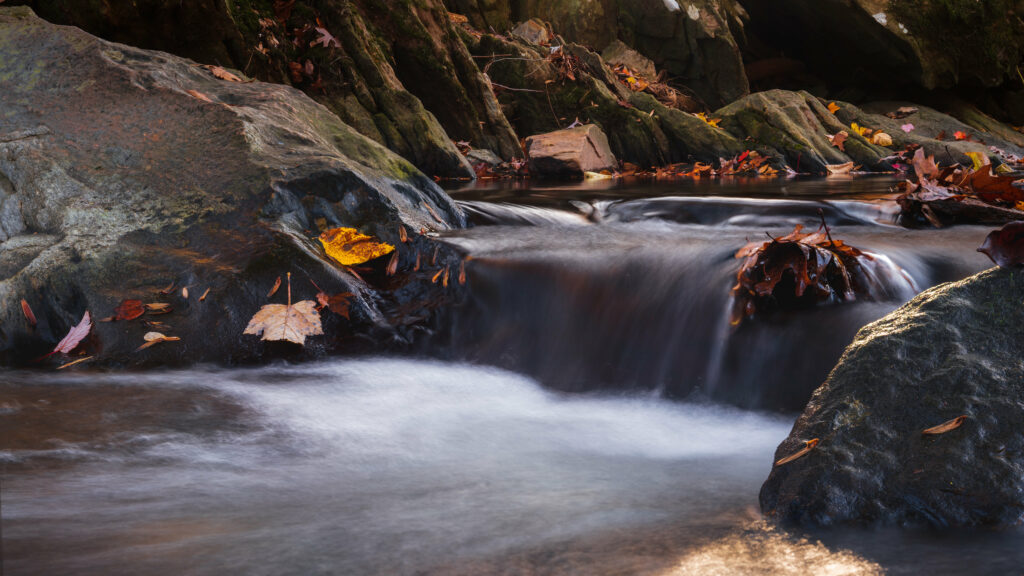 Serene forest stream with flowing water over wet stones and autumn leaves in earthy tones Wallpaper