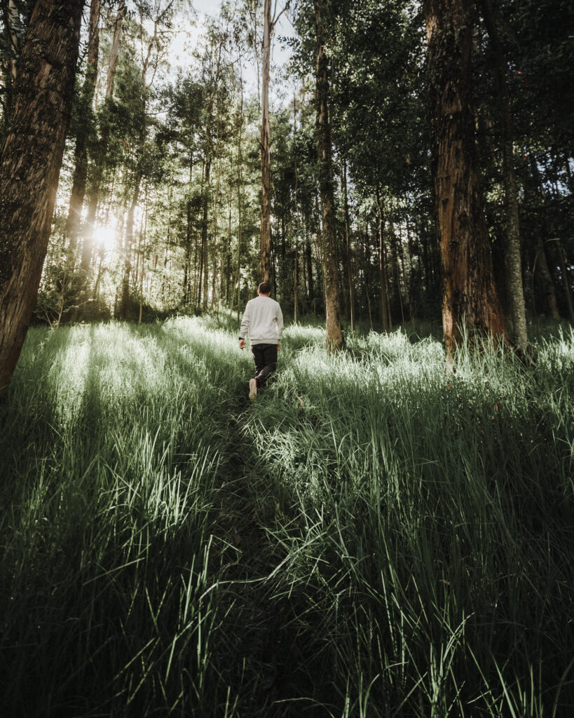 Man walking on forest path surrounded by lush green grass and tall trees with sunlight rays Wallpaper