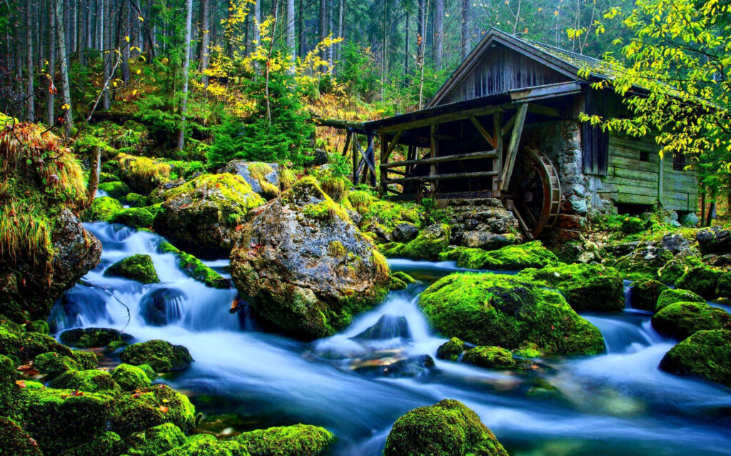 Tranquil Forest Wallpaper: Wooden House by Gentle Stream