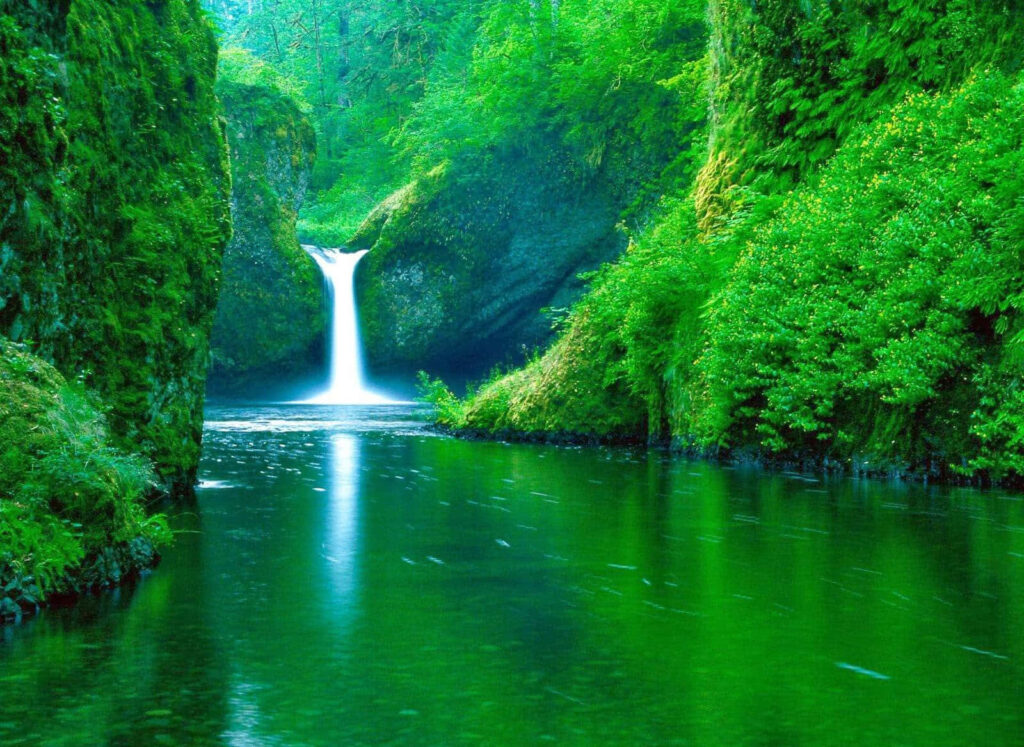 Lush Forest Waterfall Wallpaper: Tranquil Emerald River Scene