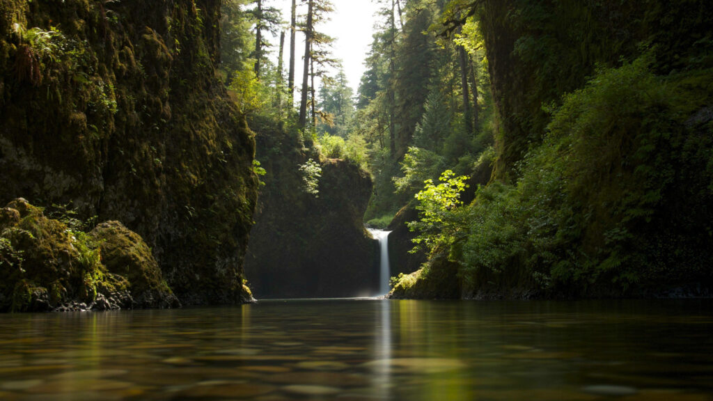 Tranquil Forest Waterfall Wallpaper - Serene Nature Background