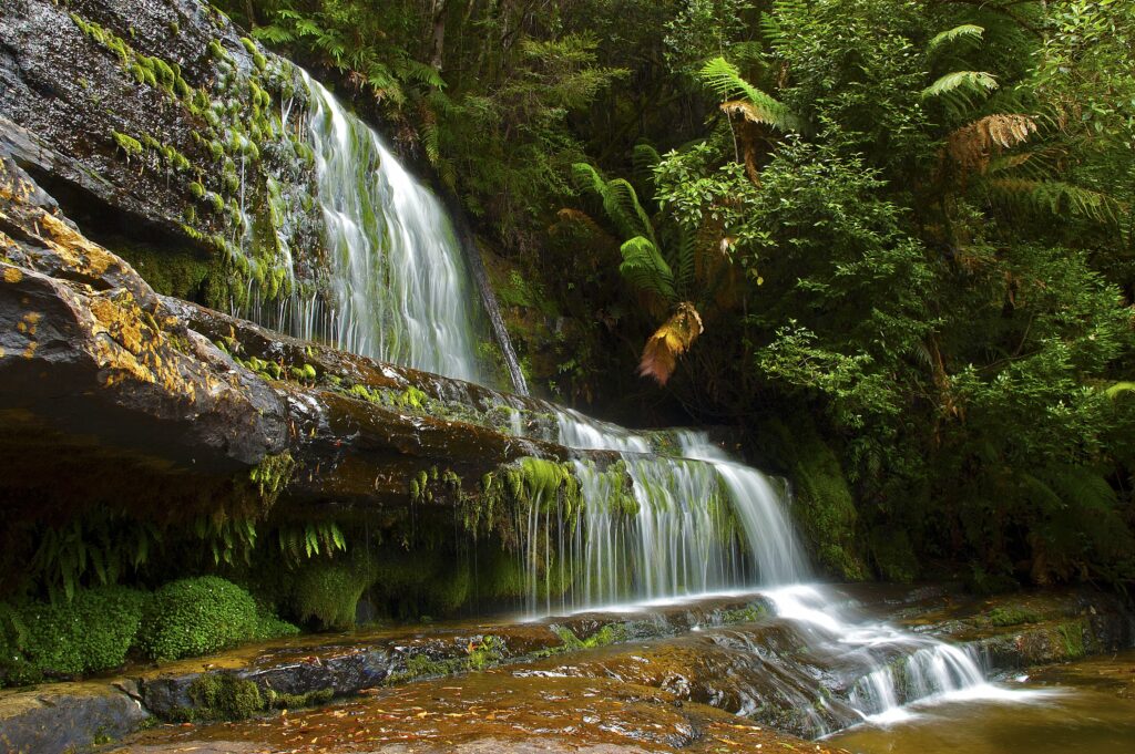Lush green forest with cascading waterfall over mossy rocks peaceful nature wallpaper background