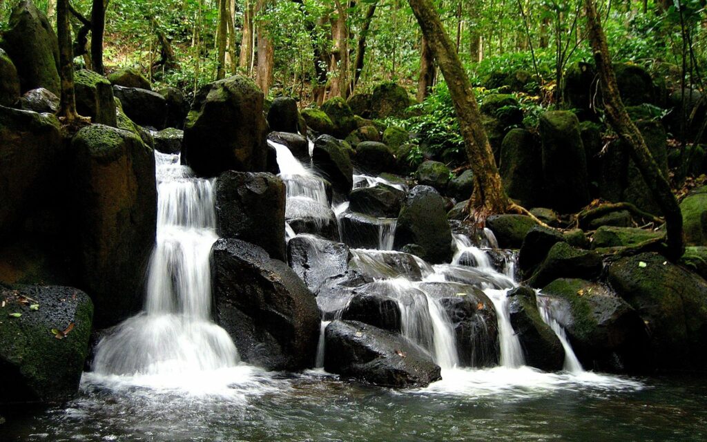 Serene waterfall flowing over dark stones in lush green forest with vibrant trees and streams Wallpaper