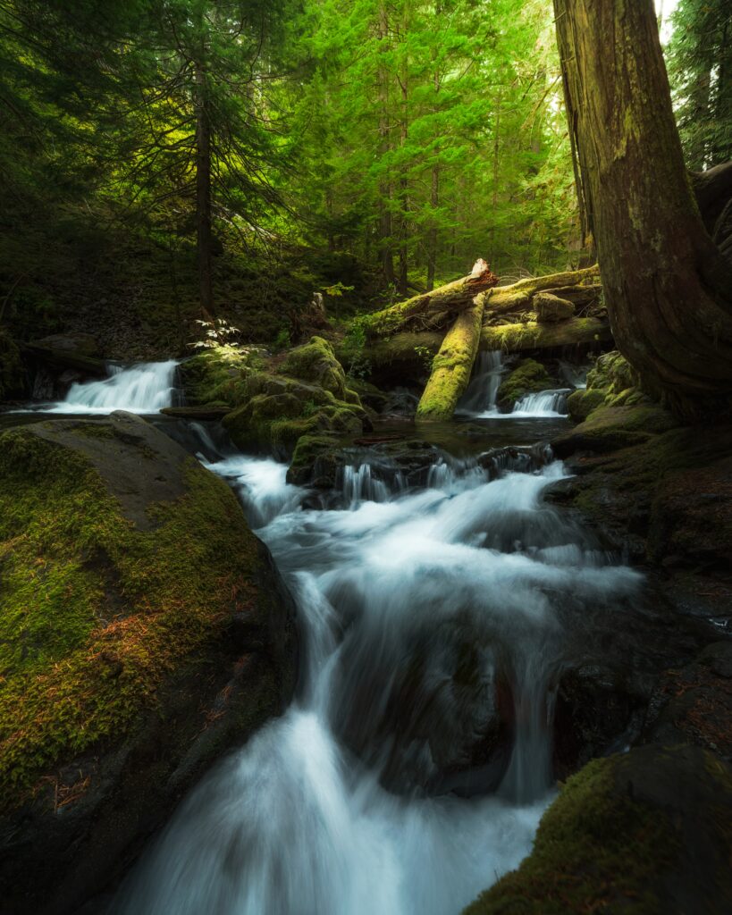 Serene forest waterfall over mossy rocks with lush green trees and dappled sunlight background Wallpaper