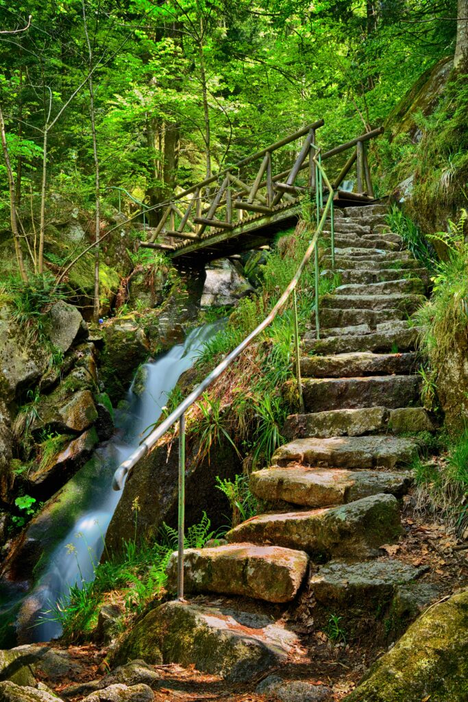 Serene forest waterfall wallpaper with mossy stones wooden bridge and stone staircase pathway