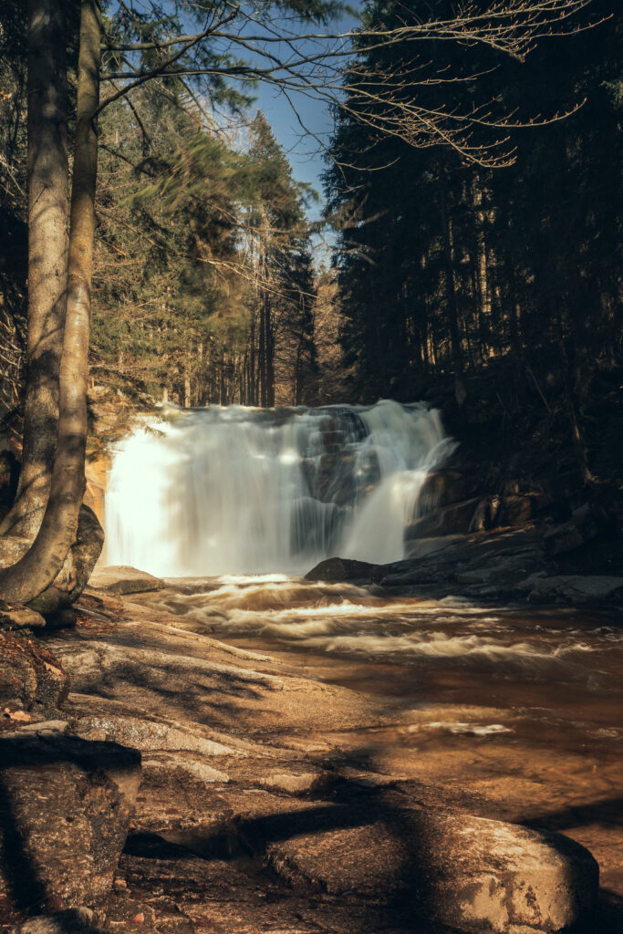 Majestic waterfall cascading over rocks in a sunlit serene forest with tall trees and greenery Wallpaper