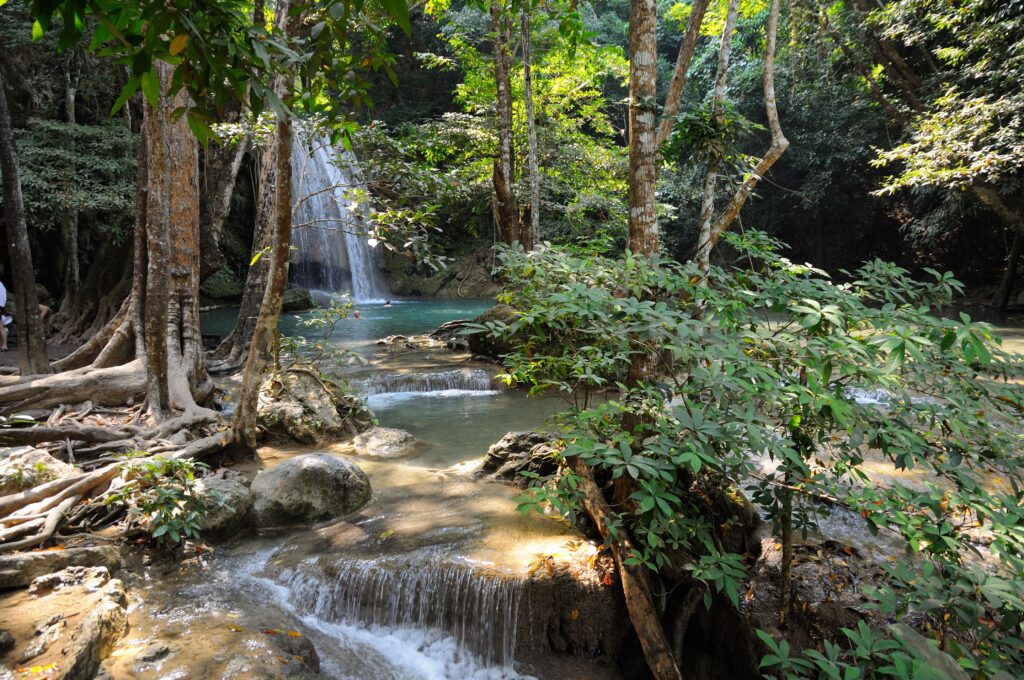 Serene forest waterfall flowing into clear river with mossy stones lush greenery and sunlight rays Wallpaper