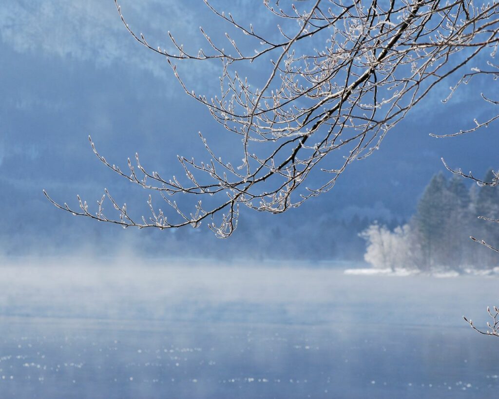 Frosty tree branches over calm misty water winter wallpaper in soft blue and white hues