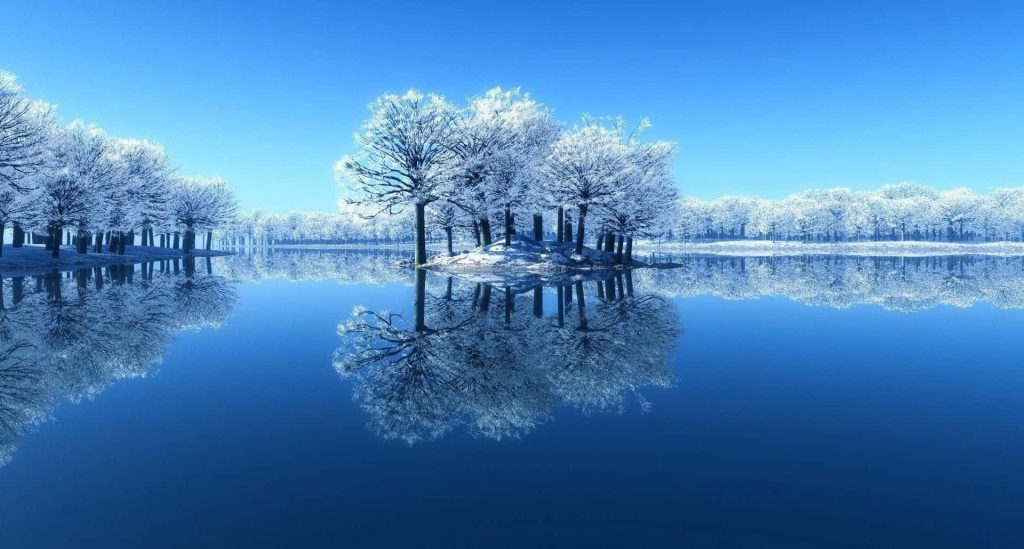 Frozen lake wallpaper with snow-dusted trees and clear blue sky reflecting on calm water