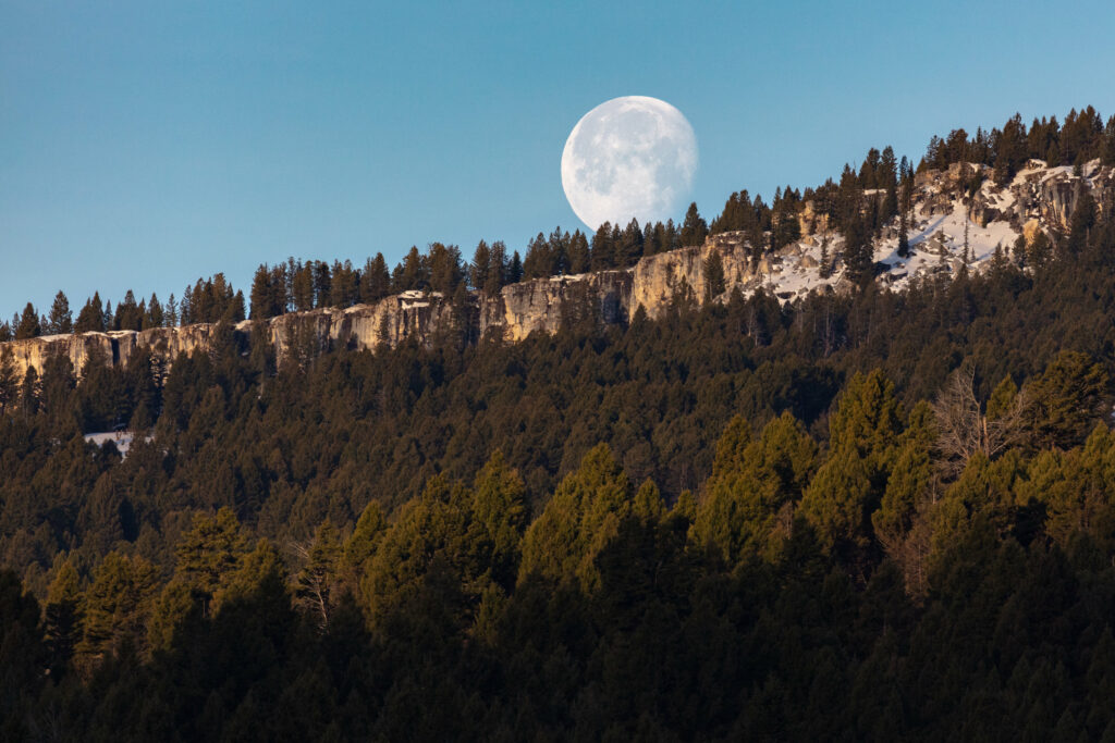 Full moon rising over rugged cliffs and dense forest with detailed textures in serene evening Wallpaper