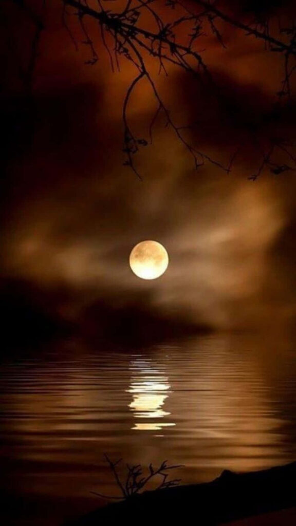 Magical Full Moon Wallpaper: Serene Waters and Dark Branches
