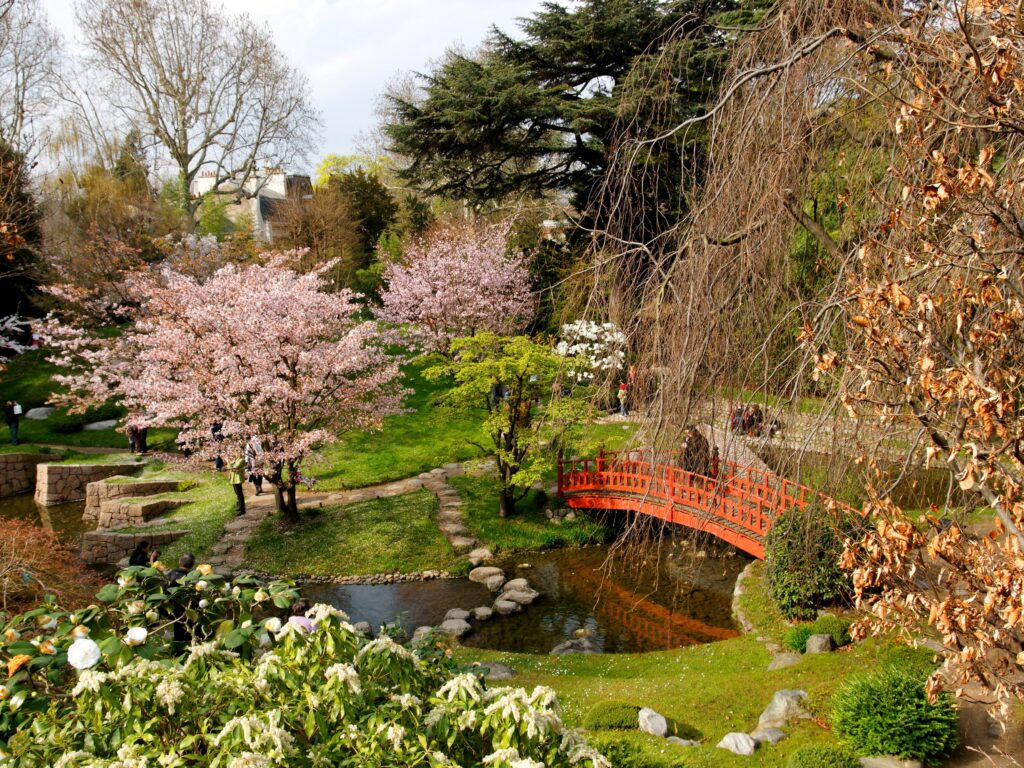 Serene garden wallpaper with red bridge blooming trees calm stream lush greenery scenic view