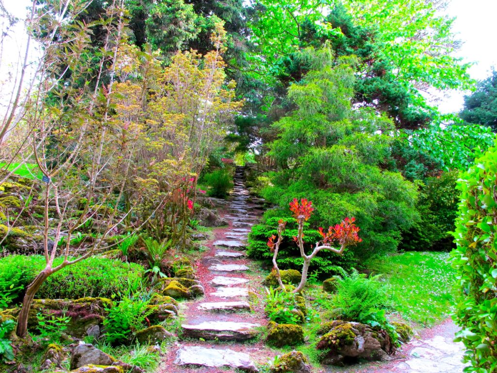 Bright garden with lush greenery vibrant trees mossy branches and winding stone steps wallpaper