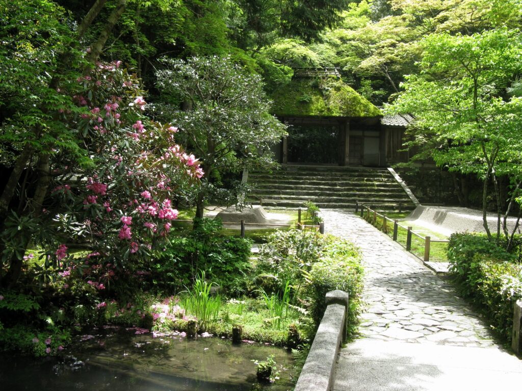 Serene garden wallpaper with stone path pond pink flowers ancient steps and traditional gate