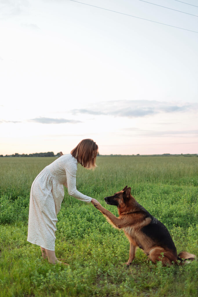 Serene German Shepherd Training Wallpaper: Dog & Woman at Sunset