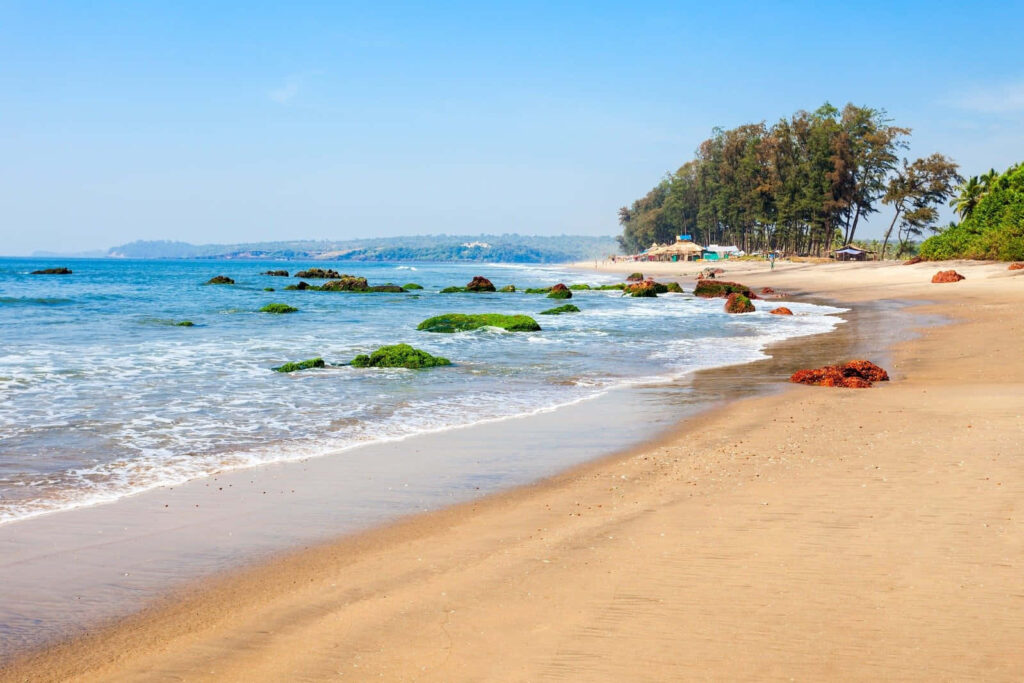 Serene Goa Beach Wallpaper: Golden Sands & Lush Greenery Background