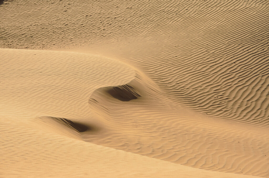 Serene desert landscape with golden sand dunes rippled by wind creating natural patterns Wallpaper