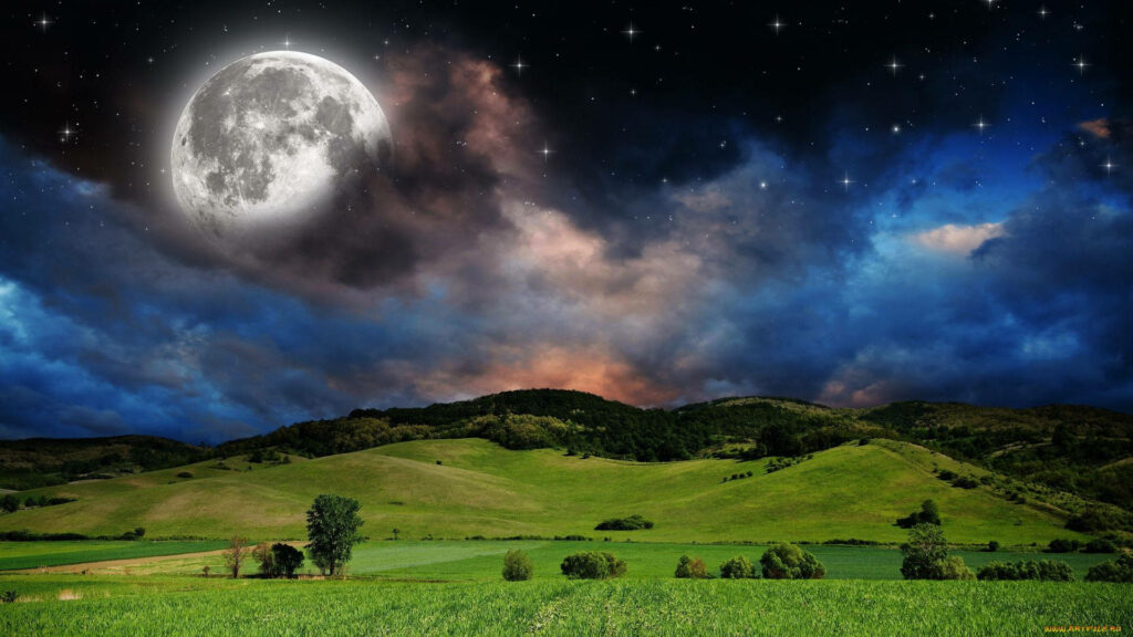 Serene Grass Field Wallpaper: Full Moon & Starry Sky Background