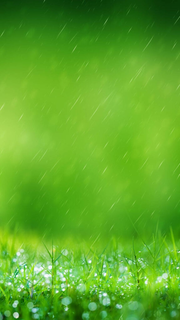 Vibrant Grassy Field Wallpaper for Samsung Galaxy S7 Edge