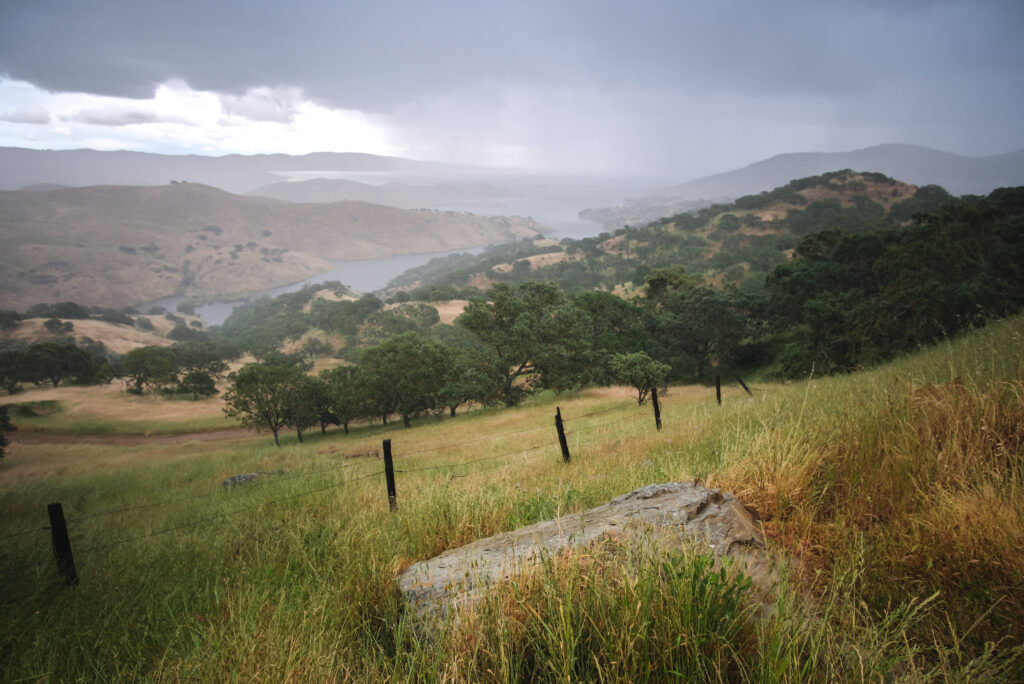 Serene grassy slope with trees winding river and distant mountains under overcast sky wallpaper