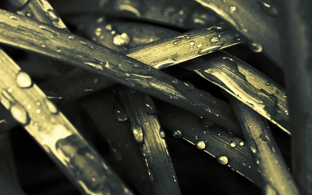 Serene Gray Grass Wallpaper with Dew Drops for a Fresh Look