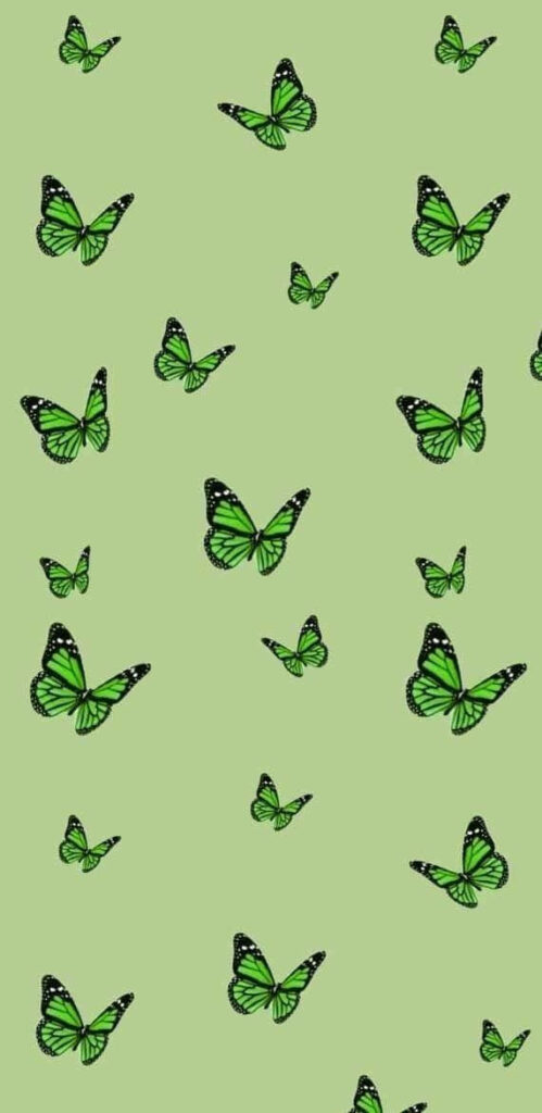Serene Green Butterfly Wallpaper - A Calming Background Design