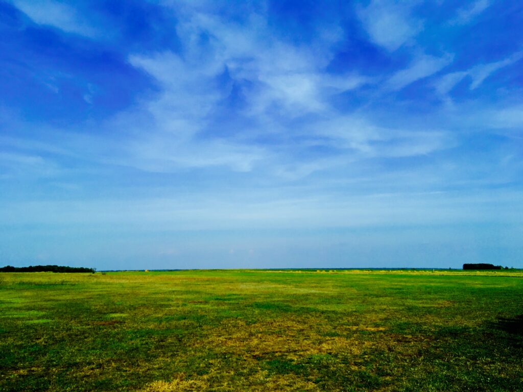 Lush green grass field under bright blue summer sky with wispy clouds serene wallpaper background