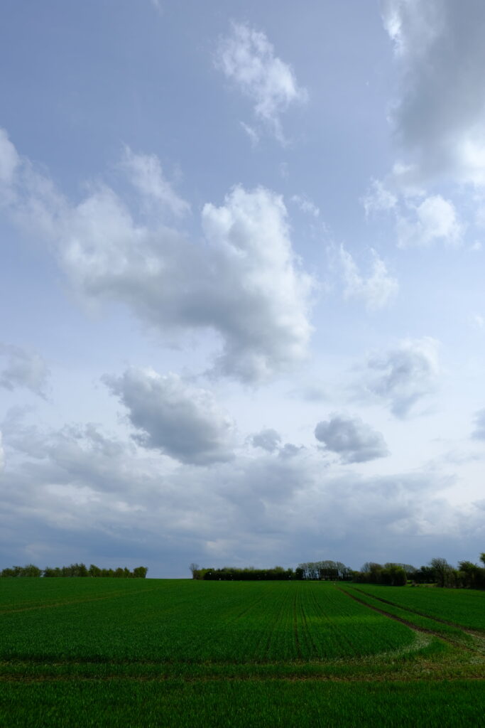 Serene Green Field Wallpaper: Peaceful Rural Landscape Background