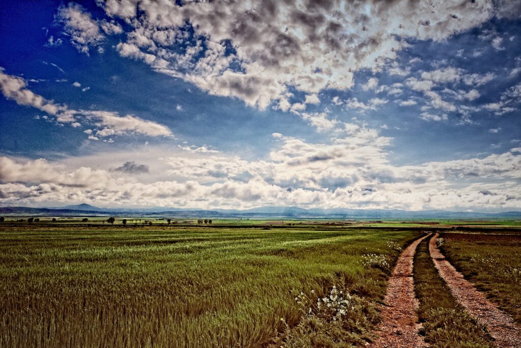 Vibrant green field with winding dirt road under dramatic textured cloudy sky scenic wallpaper