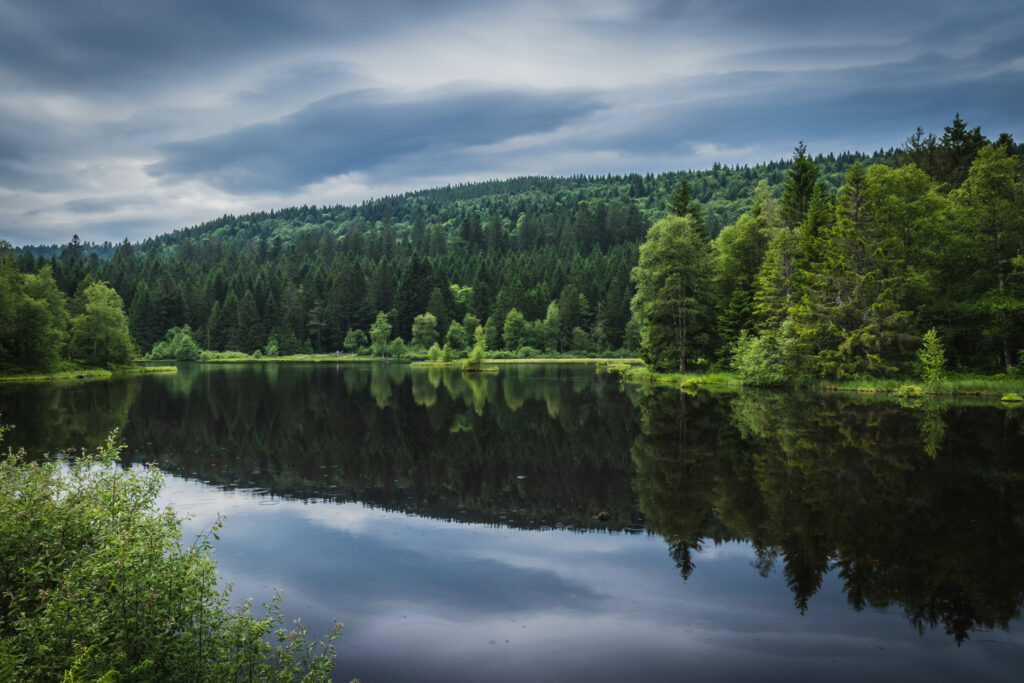 Serene dense green forest reflected in calm lake under dramatic cloudy sky nature wallpaper background