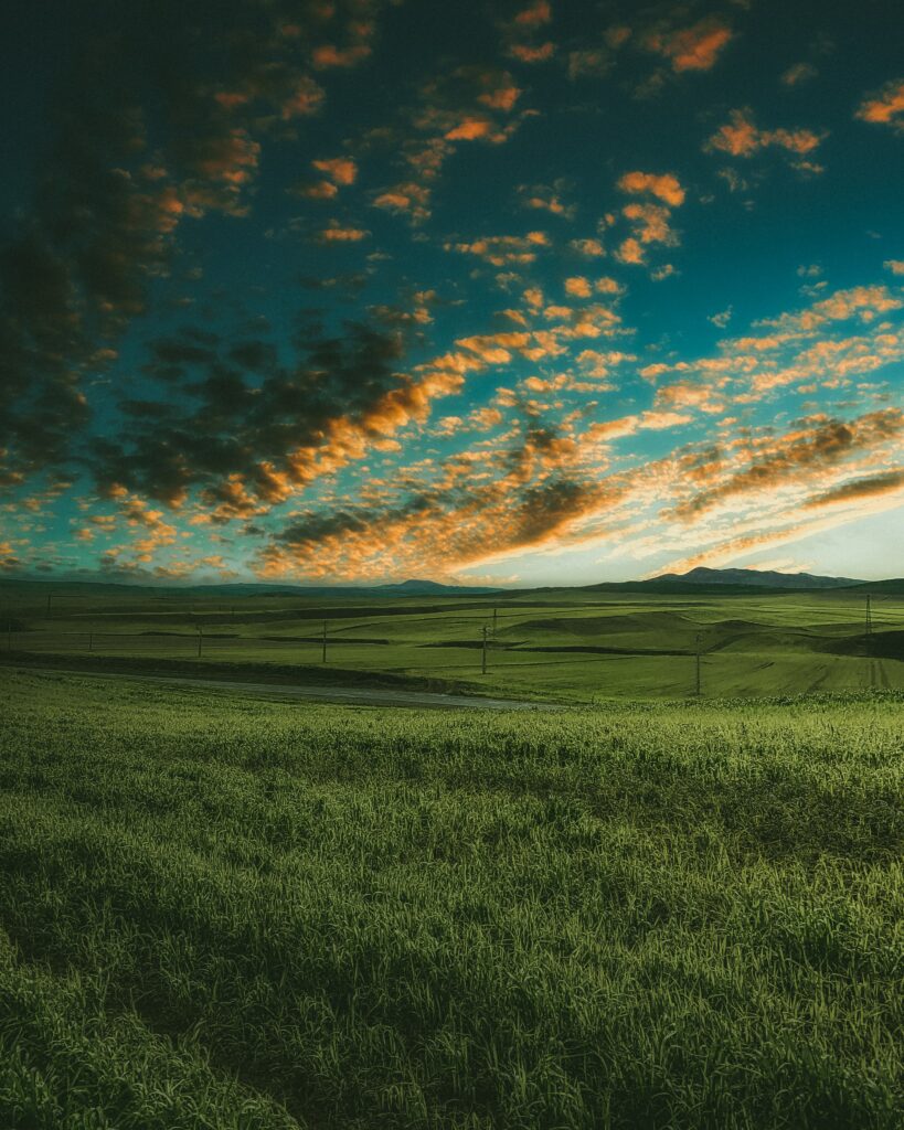 Vibrant green grass field under golden sunset clouds creating serene colorful landscape wallpaper
