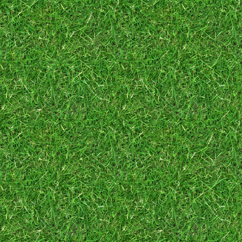 Lush Green Grass Wallpaper for Nature-Inspired Designs