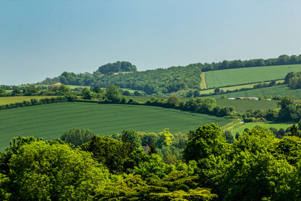 Serene wallpaper of rolling green hills lush trees and sunlit expansive natural landscape background